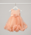 Baby Girl Fancy Frock