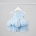 Baby Girl Fancy Frock