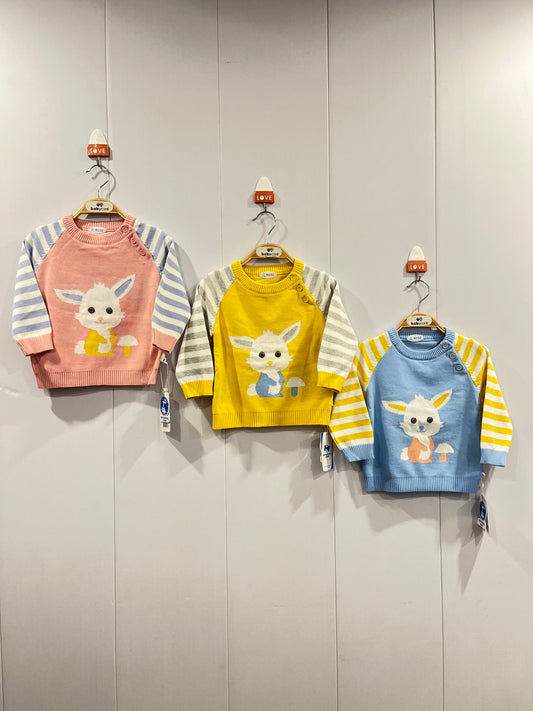 Baby Sweater