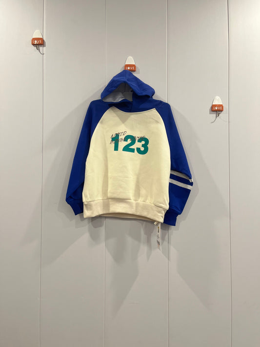 Boys Hoodie