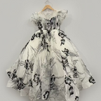 Fancy Frock